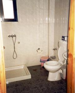 a bathroom with a toilet and a shower at Flisvos Apartments in Frangokastello +13 photos