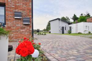 een bakstenen gebouw met rode bloemen op een stenen oprit bij Liepgarten bei Ueckermünde Fewo 15 - Zum Kolk in Ueckermünde