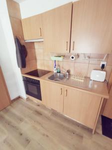 Kuchyň nebo kuchyňský kout v ubytování Charmant appartement balcon et parking