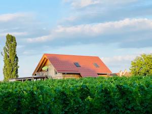 a house with an orange roof next to a hedge at Die Mansarde in Spielfeld