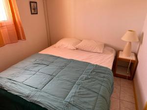 a bedroom with a bed with a blue blanket and a lamp at HOLIDAYLAND BAIE DES OLIVIERS VILLA 36m2 1chambre fermée 6 couchages ou VILLA 41M2 2chambres fermées 7 couchages in Narbonne-Plage