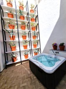 a hot tub in a room with potted plants at Capri Kronos GuestHouse in Anacapri