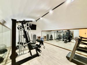 Fitness centrum a/nebo fitness zařízení v ubytování Capri Kronos Design Suites - 2 king beds, with gym, SPA & jacuzzi