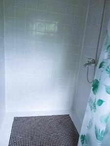 a bathroom with a shower with a shower curtain at Big Mama's Little House Casa da Mãe Grande in Porto Alegre