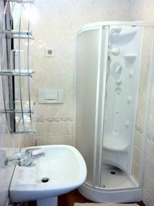 een badkamer met een douche en een wastafel bij Hotel Torrismondi in Cuneo