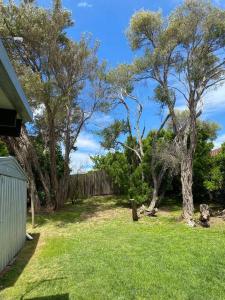 a yard with trees and a fence and green grass at Coastal cottage, perfectly positioned in Tootgarook