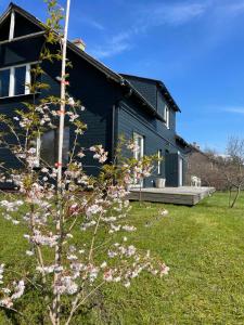 サラツグリーヴァにあるHoliday apartment near the seaのピンクの花が目の前に咲く青い家