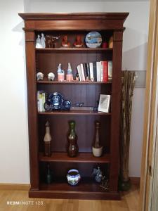The library in Az apartmant