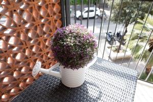 Billede fra billedgalleriet på Affittacamere Piazza Mazzini i Terracina + 54 billeder