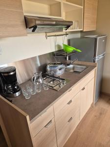 a kitchen with a sink and a counter top at Chalet maisonette dans hameau calme in Bonifacio