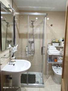 a bathroom with a shower and a sink and a toilet at Apartamento Mirador del Pantano 1 in Vinuesa