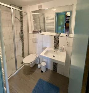 a bathroom with a toilet and a sink and a shower at Mühle Beckenkrug in Varchentin