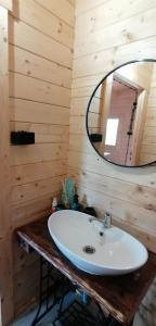 ein Badezimmer mit einem Waschbecken und einem Spiegel an einer Holzwand in der Unterkunft Chatka na Wzgórzu, Staw z możliwością łowienia ryb, Cisza, Spokój in Barczewo