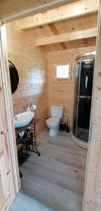 ein Bad mit einem WC und einem Waschbecken in der Unterkunft Chatka na Wzgórzu, Staw z możliwością łowienia ryb, Cisza, Spokój in Barczewo