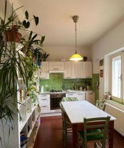a kitchen with a table and some plants in it at Casa indipendente con panorama stupendo in Montegiorgio