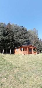 a cabin in the middle of a grass field at Chatka na Wzgórzu, Staw z możliwością łowienia ryb, Cisza, Spokój in Barczewo