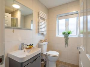 a bathroom with a toilet and a sink and a window at E2 Station House in Clifden