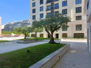 un arbre dans l'herbe devant un bâtiment dans l'établissement Grão Vasco, à Lisbonne