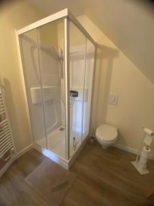 a bathroom with a shower and a toilet at Les chambres de Christelle & Gilbert in Margon