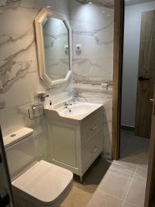 a bathroom with a sink and a toilet and a mirror at GARDEN HOUSE Madrid in Madrid +44 photos