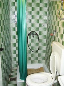 een badkamer met een toilet en een groen douchegordijn bij Appartement in Novi Vinodolski mit Terrasse, Garten und Grill in Novi Vinodolski
