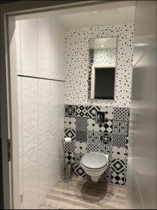 a bathroom with a toilet and a mirror at Chez Amandine in Osne-le-Val +6 photos