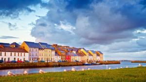 a group of birds sitting in the grass next to a river at Loughrea Hotel & Spa in Loughrea