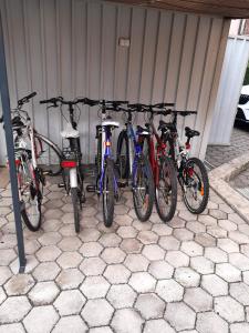 Jízda na kole v ubytování Apartments Kivi nebo okolí