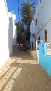 an alley with a blue fence and a palm tree at charming nubian guest house in Aswan