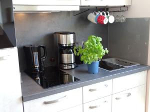 Kuchyň nebo kuchyňský kout v ubytování Lütt Plambeck-Appartement Inge DG 6