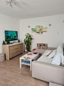 ein Wohnzimmer mit einem Sofa und einem TV in der Unterkunft Hiška pod murvo - Kraški rob in Črni Kal