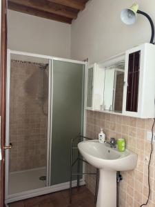 a bathroom with a sink and a shower at La Casetta in San Giovanni delle Contee