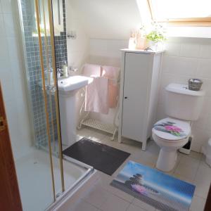 a bathroom with a shower and a toilet and a sink at Mizen View in Goleen