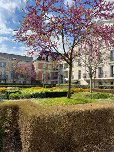 a tree with pink flowers in front of a building at Appartement Disneyland idéalement situé in Serris