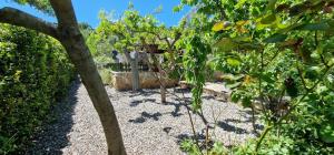 a garden with a fence and some trees and gravel at Trullo Grande Noce in Cisternino