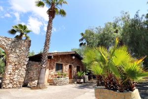 dom z palmą przed nim w obiekcie La Pietra Village Rooms w mieście Ruffano