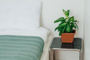 a plant sitting on a table next to a bed at HB apartments Tabukashvili in Tbilisi City