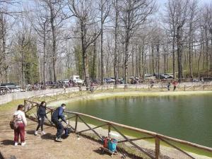 a group of people standing by a fence near a pond at B&B Villa Rosina in Satriano di Lucania +23 photos