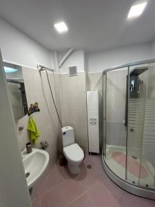 ein Bad mit einer Dusche, einem WC und einem Waschbecken in der Unterkunft Апартаменти Viviana in Plowdiw