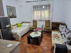 地拉那的住宿－Xhemi APARTAMENT，客厅配有沙发和桌子