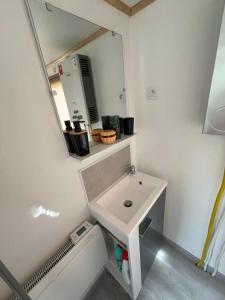 a small bathroom with a sink and a mirror at Mobil-home camping 4 étoiles N35 in Fourmies