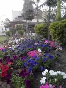 a garden of colorful flowers in a park at Akkas Farm House in Faisalabad