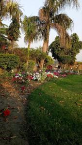 a garden with palm trees and flowers in a park at Akkas Farm House in Faisalabad