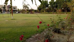 a green field with red flowers in a park at Akkas Farm House in Faisalabad