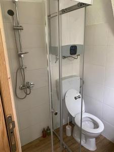 a bathroom with a toilet with a glass shower stall at Natures Escape Kozarica in Šavnik