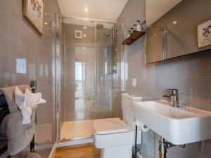 a bathroom with a shower and a toilet and a sink at Galloway Views - Uk46816 in Wigtown