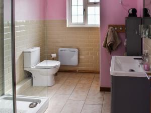 a bathroom with a toilet and a sink at Stable Cottage - Uk45134 in Barnby