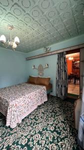 斯利那加的住宿－Abshar Heritage Villa，一间带一张床铺的卧室,位于带天花板的房间内