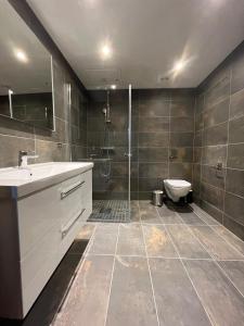 a bathroom with a shower and a sink and a toilet at Trysil Alpine Lodge in Trysil