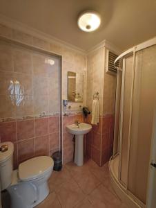 エディルネにあるTac Pansiyonのバスルーム(トイレ、洗面台、シャワー付)